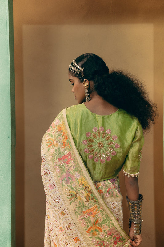 Bagh Bandhej Saree