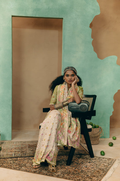 Bagh Bandhej Saree